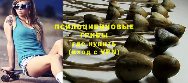 амф Белокуриха