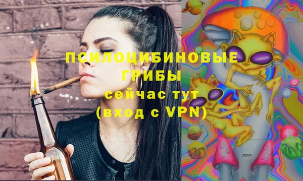 амф Белокуриха