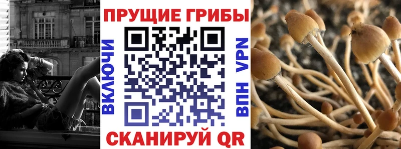 Псилоцибиновые грибы ЛСД  Минусинск 